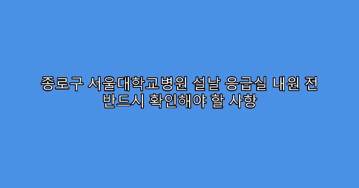 종로구 서울대학교병원 설날 응급실 내원 전 반드시 확인해야 할 사항