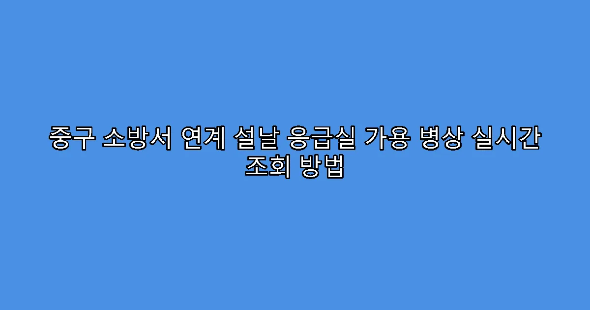 중구 소방서 연계 설날 응급실 가용 병상 실시간 조회 방법
