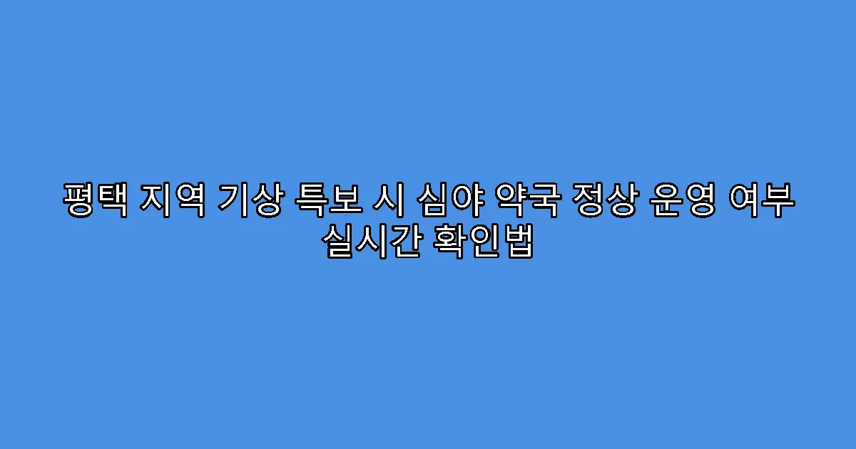평택 지역 기상 특보 시 심야 약국 정상 운영 여부 실시간 확인법