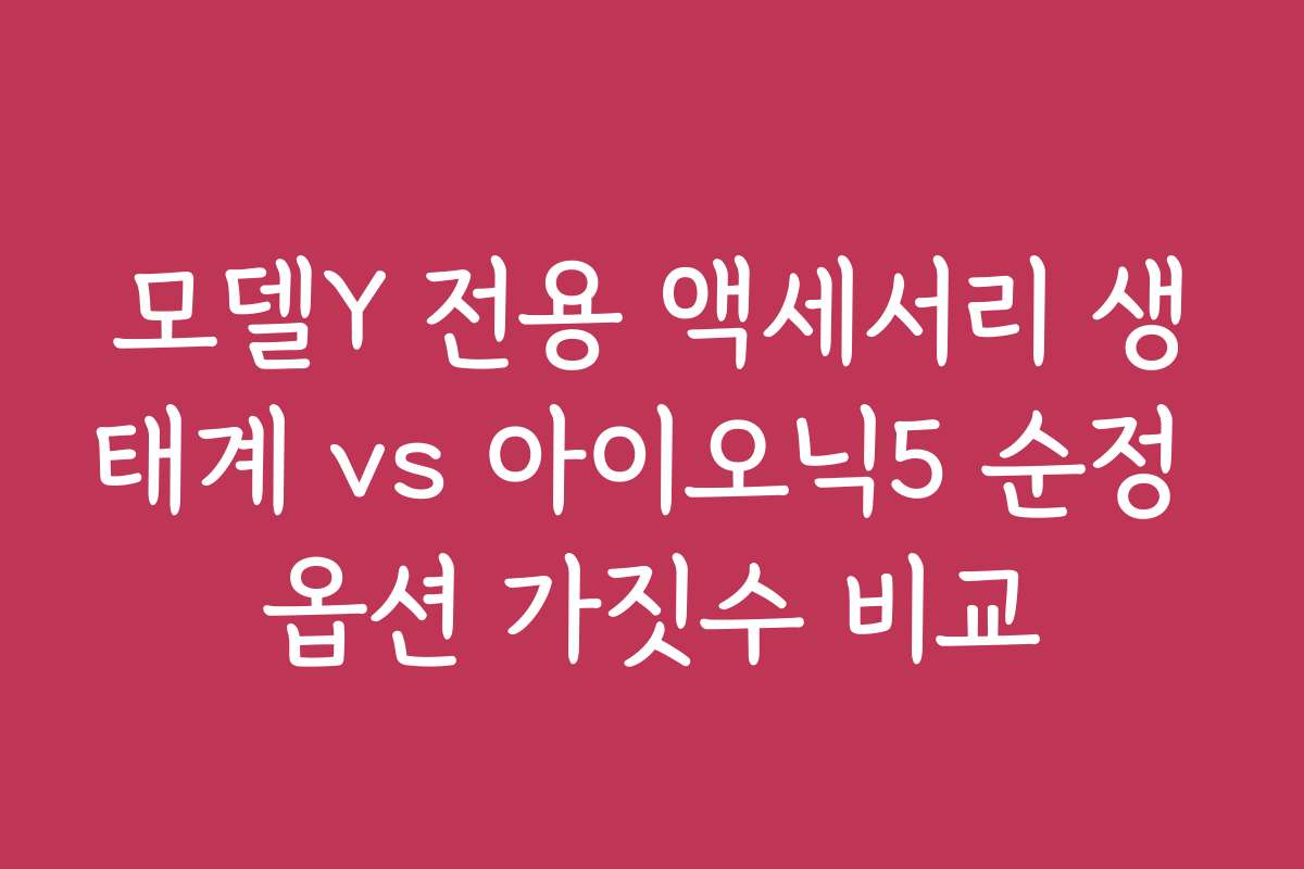 모델Y 전용 액세서리 생태계 vs 아이오닉5 순정 옵션 가짓수 비교