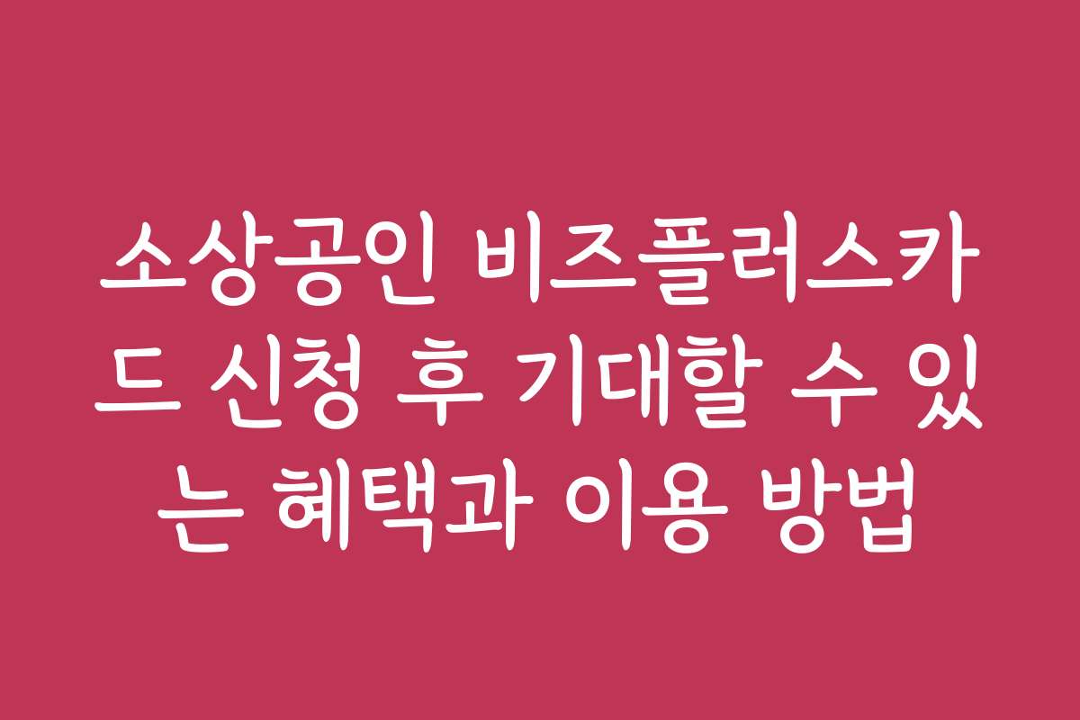 소상공인 비즈플러스카드 신청 후 기대할 수 있는 혜택과 이용 방법