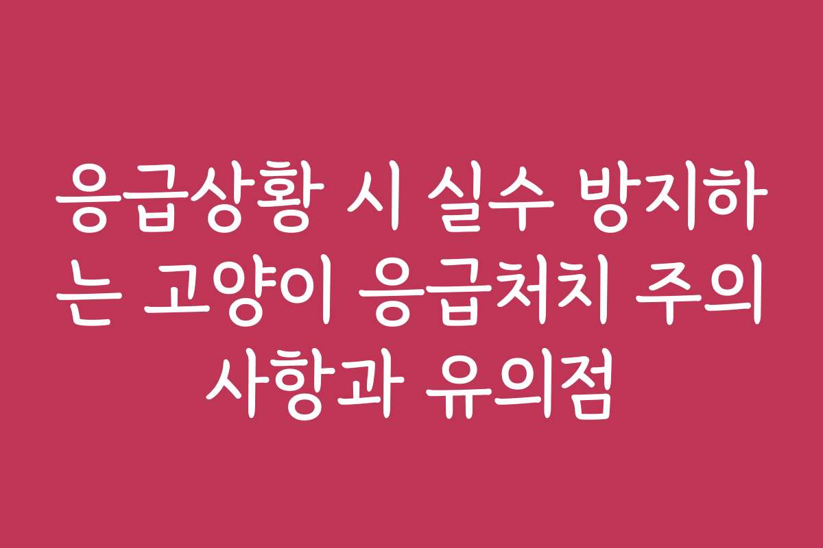 응급상황 시 실수 방지하는 고양이 응급처치 주의사항과 유의점