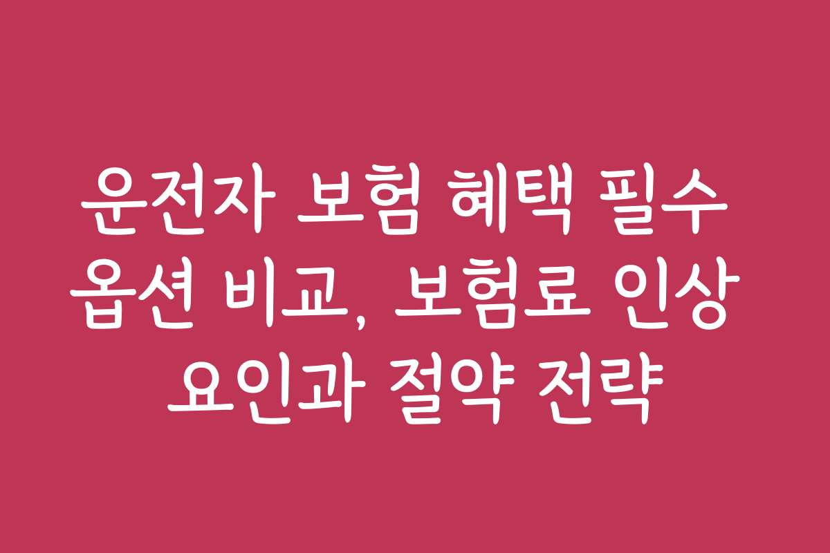 운전자 보험 혜택 필수 옵션 비교, 보험료 인상 요인과 절약 전략