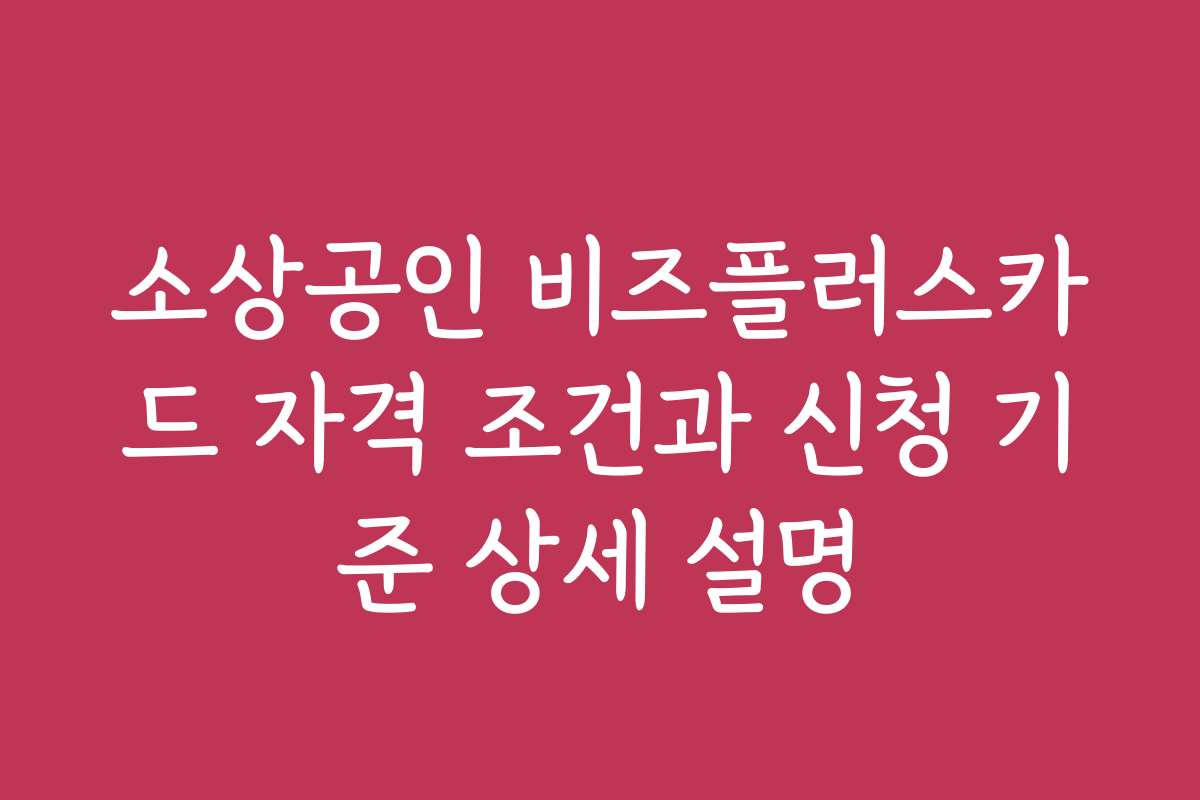 소상공인 비즈플러스카드 자격 조건과 신청 기준 상세 설명