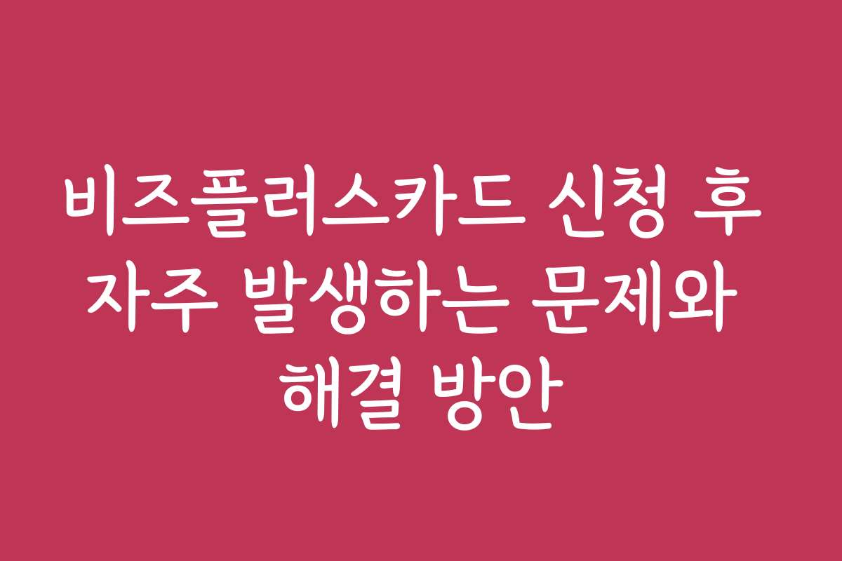 비즈플러스카드 신청 후 자주 발생하는 문제와 해결 방안