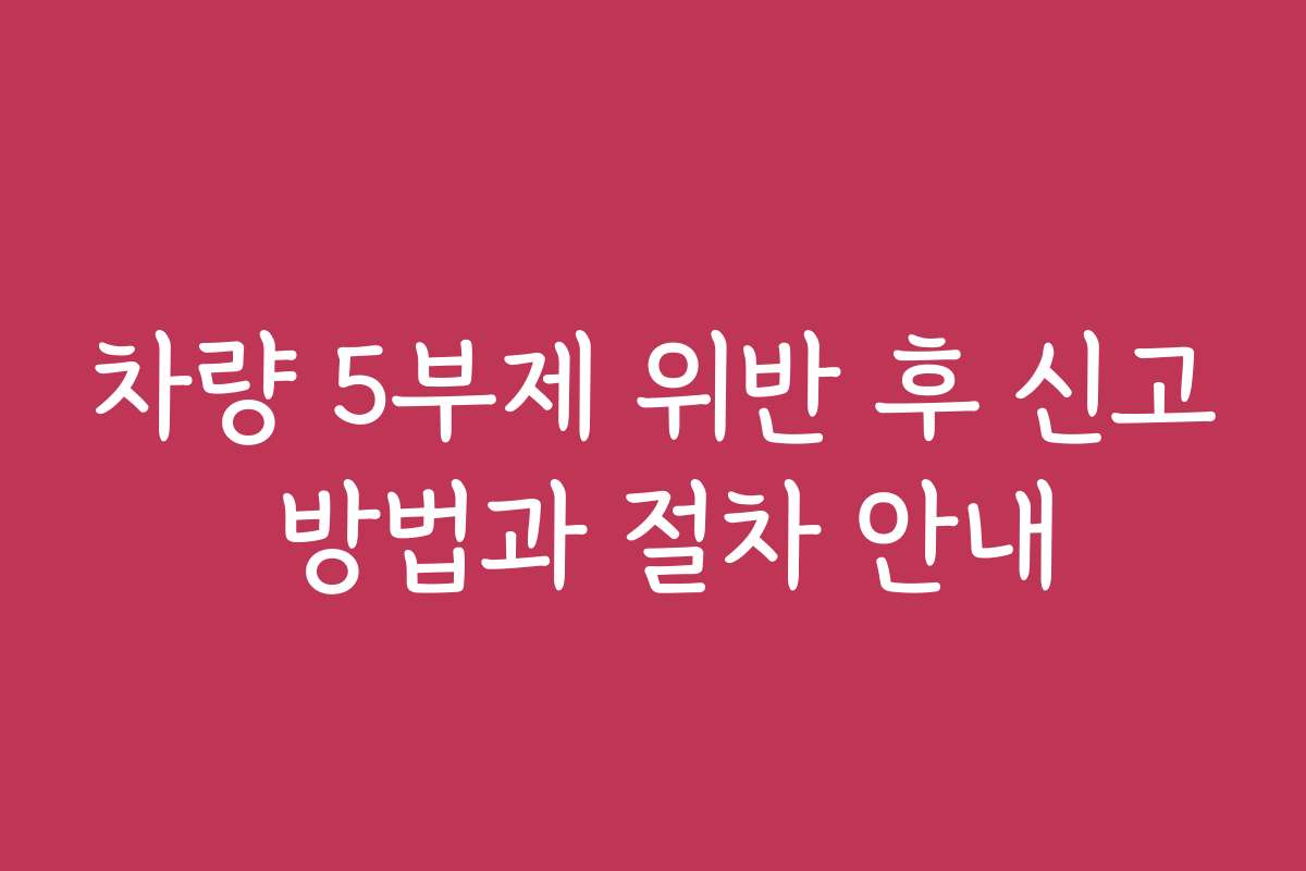 차량 5부제 위반 후 신고 방법과 절차 안내