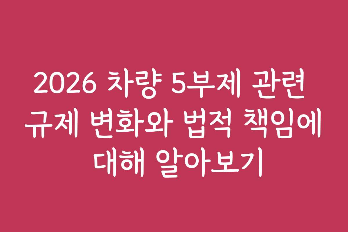 2026 차량 5부제 관련 규제 변화와 법적 책임에 대해 알아보기