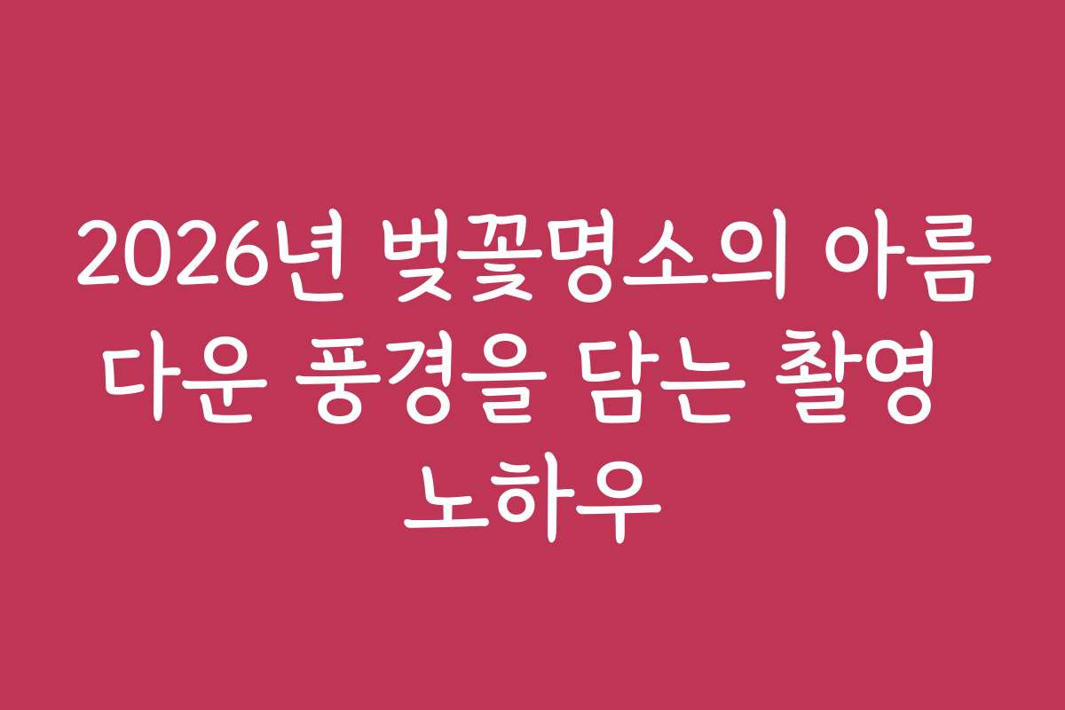 2026년 벚꽃명소의 아름다운 풍경을 담는 촬영 노하우