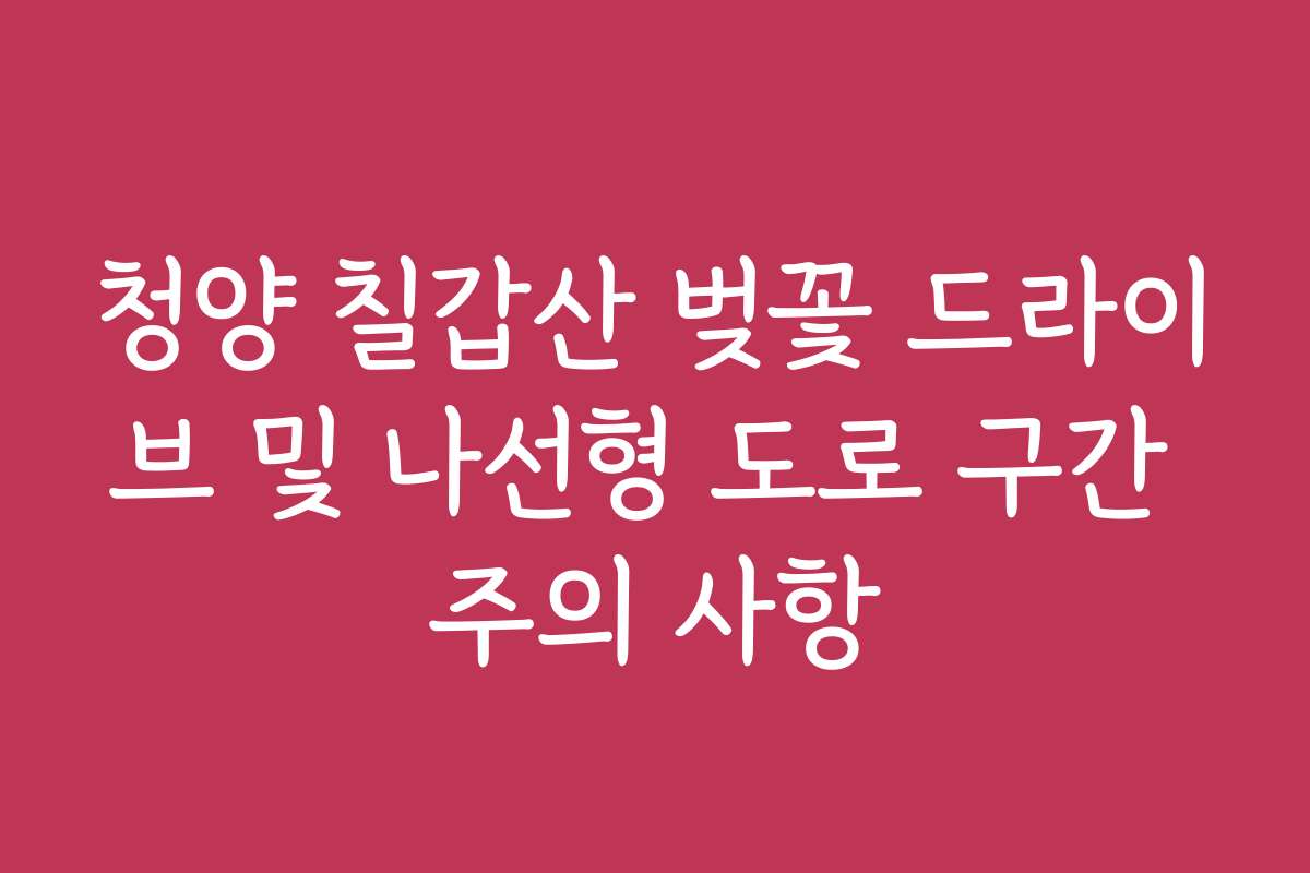 청양 칠갑산 벚꽃 드라이브 및 나선형 도로 구간 주의 사항