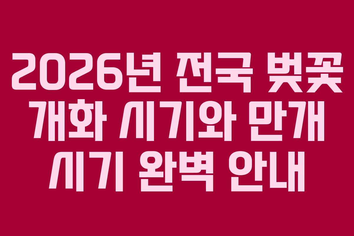 2026년 전국 벚꽃 개화 시기와 만개 시기 완벽 안내