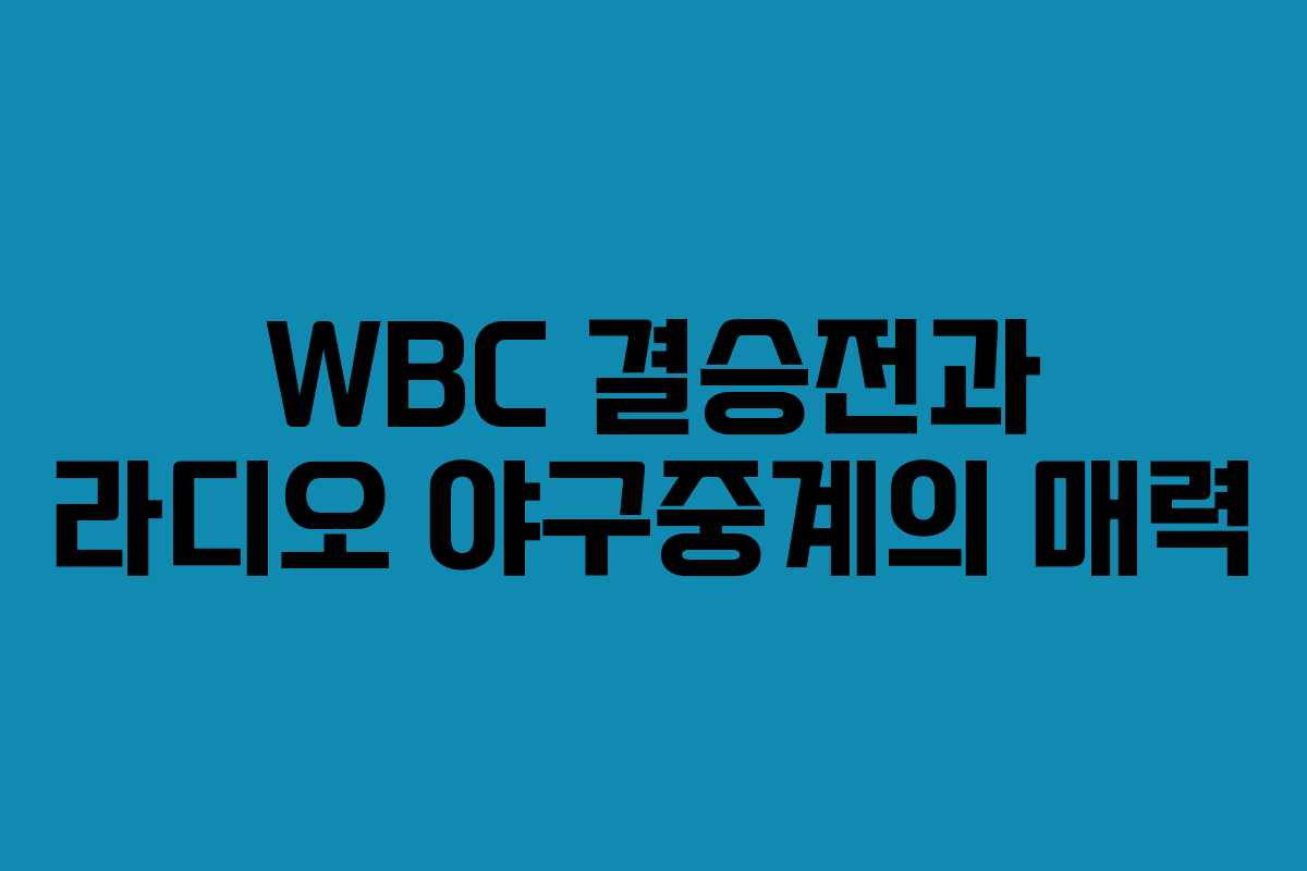 WBC 결승전과 라디오 야구중계의 매력