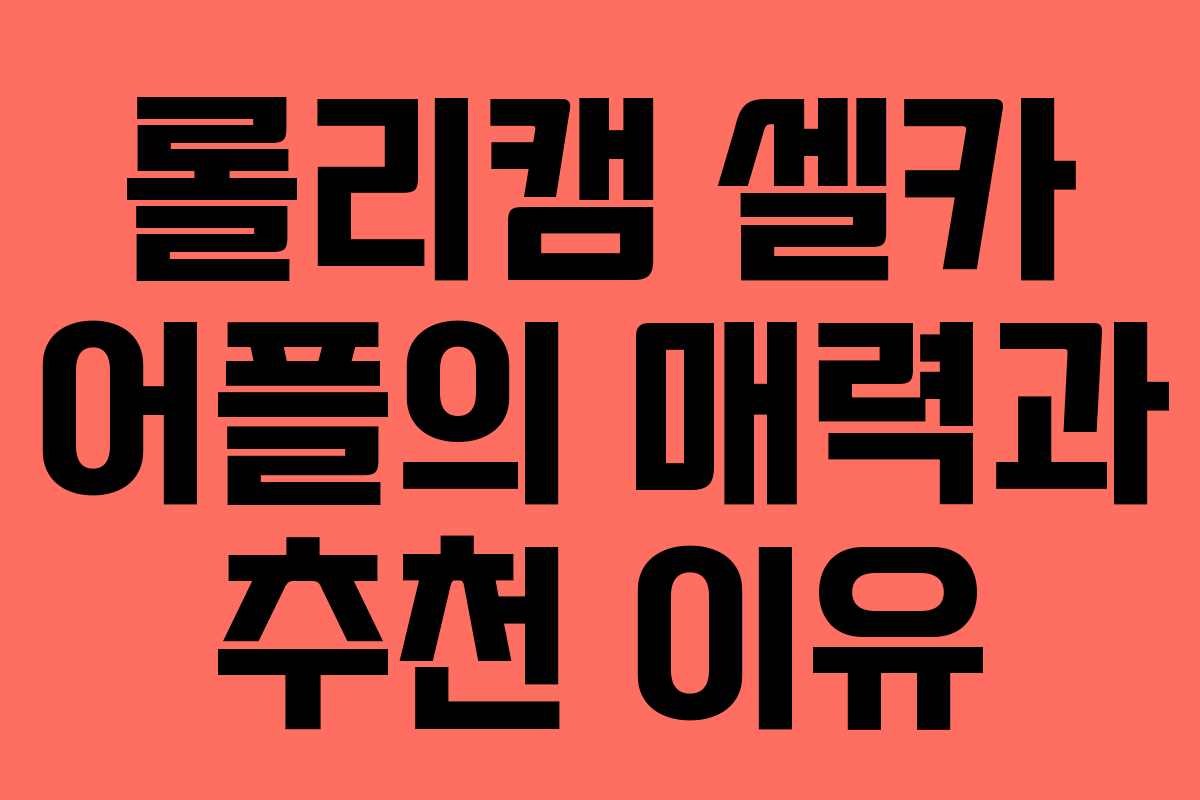 롤리캠 셀카 어플의 매력과 추천 이유