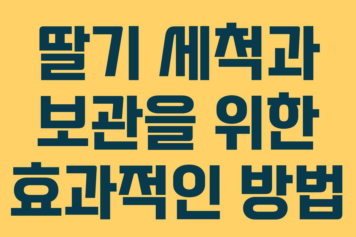 딸기 세척과 보관을 위한 효과적인 방법
