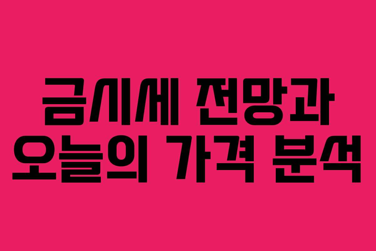 금시세 전망과 오늘의 가격 분석