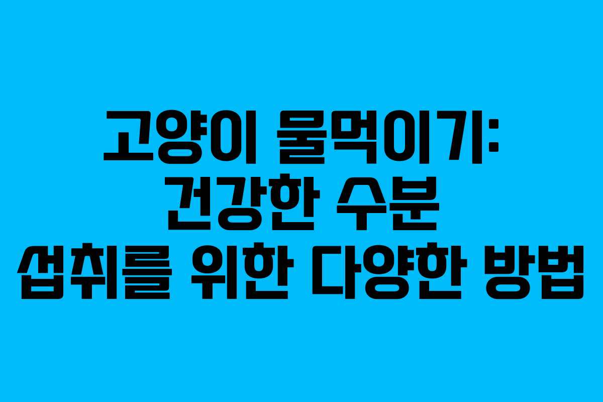 고양이 물먹이기: 건강한 수분 섭취를 위한 다양한 방법