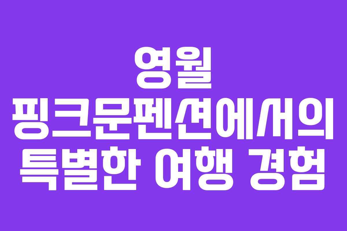 영월 핑크문펜션에서의 특별한 여행 경험