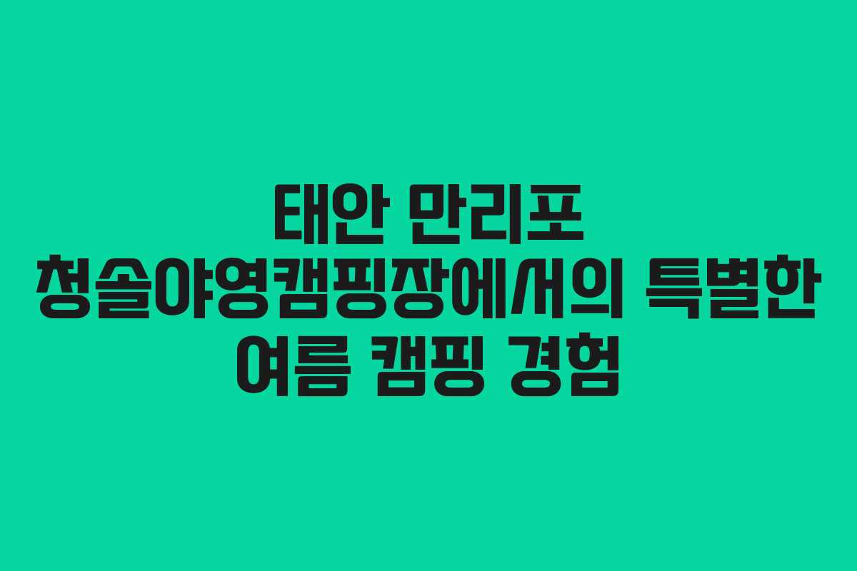 태안 만리포 청솔야영캠핑장에서의 특별한 여름 캠핑 경험