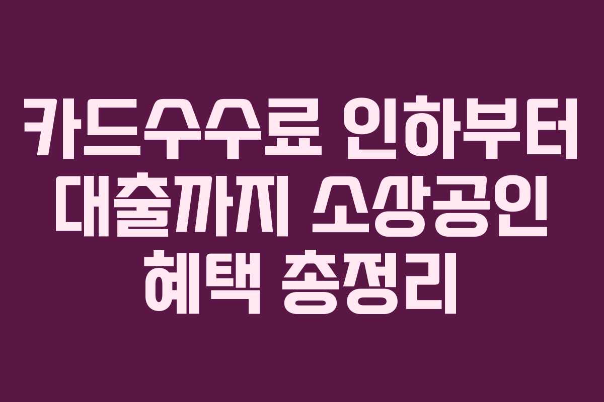 카드수수료 인하부터 대출까지 소상공인 혜택 총정리