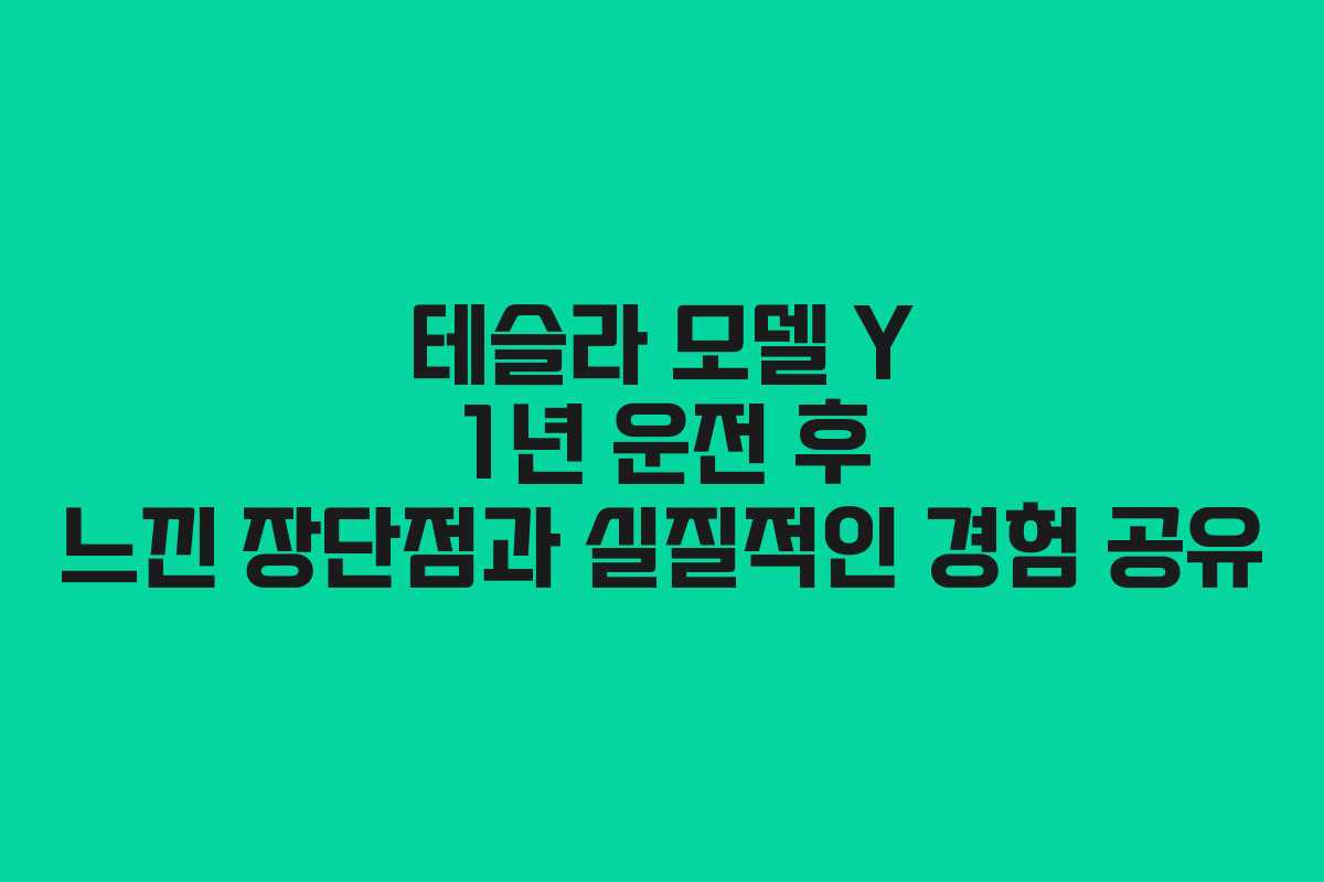 테슬라 모델 Y 1년 운전 후 느낀 장단점과 실질적인 경험 공유