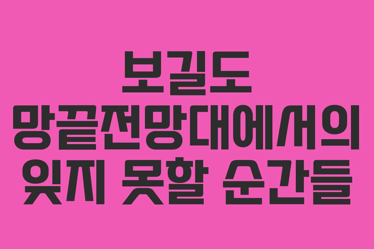 보길도 망끝전망대에서의 잊지 못할 순간들