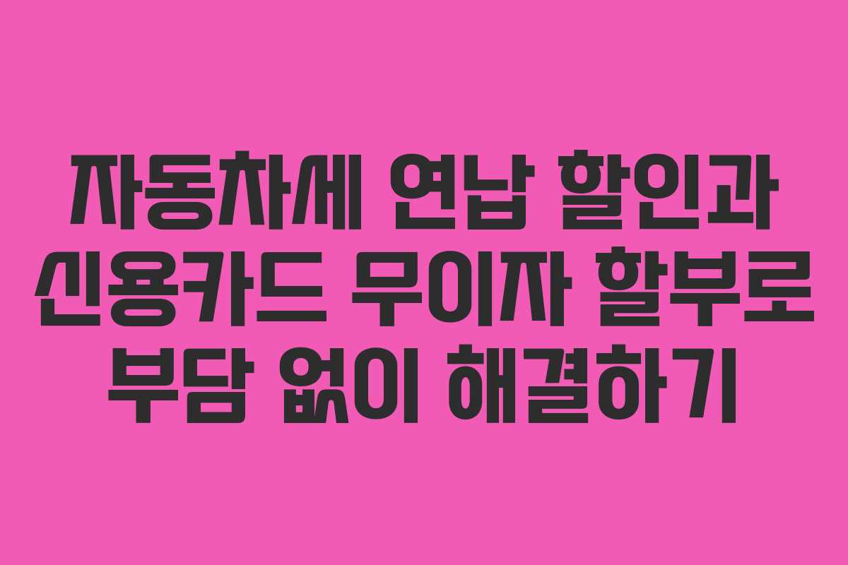 자동차세 연납 할인과 신용카드 무이자 할부로 부담 없이 해결하기