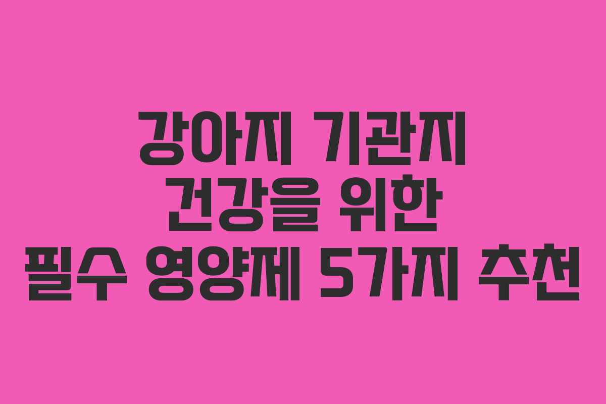 강아지 기관지 건강을 위한 필수 영양제 5가지 추천