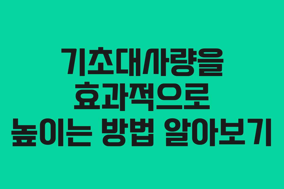 기초대사량을 효과적으로 높이는 방법 알아보기