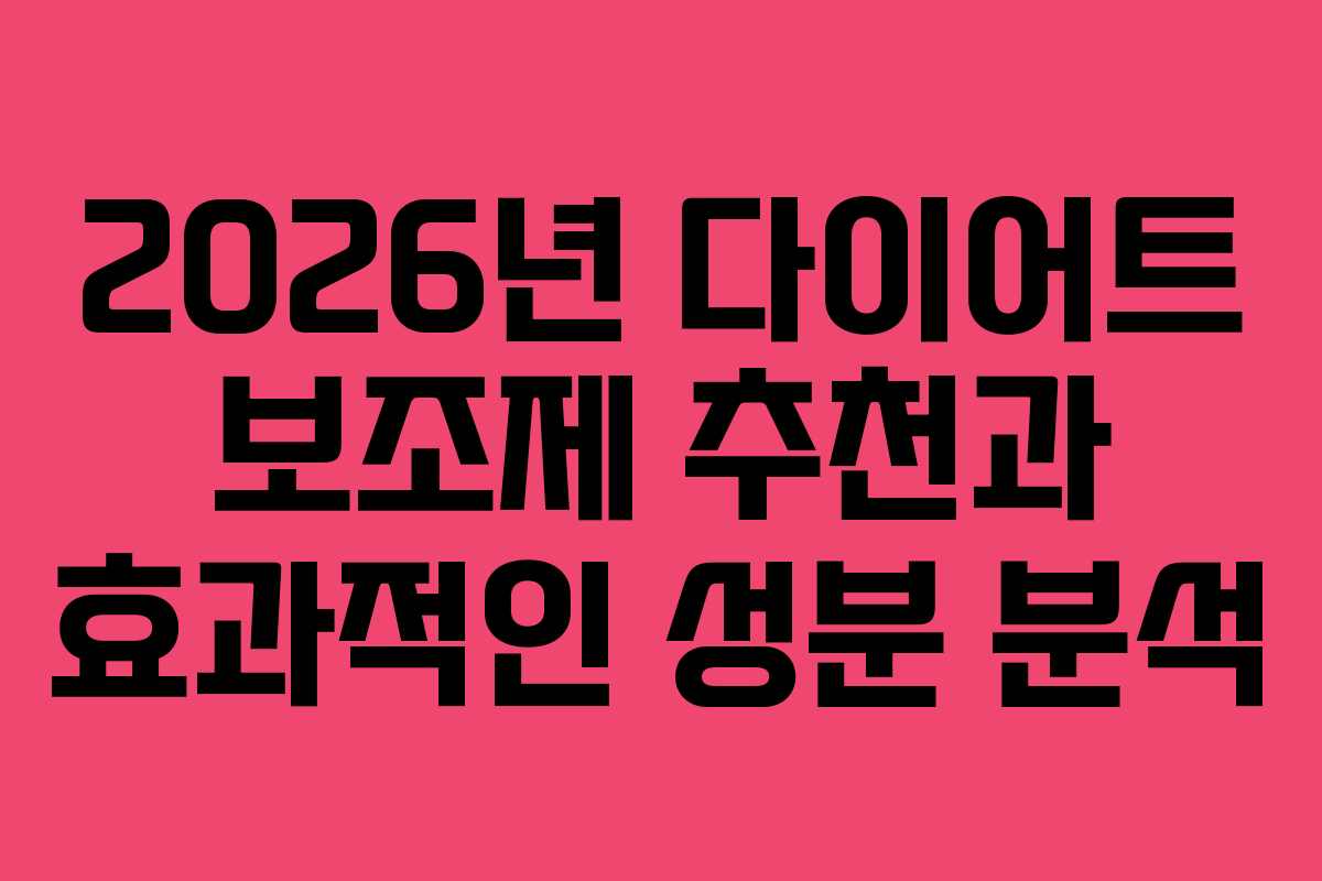 2026년 다이어트 보조제 추천과 효과적인 성분 분석