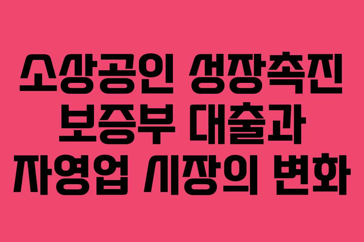 소상공인 성장촉진 보증부 대출과 자영업 시장의 변화