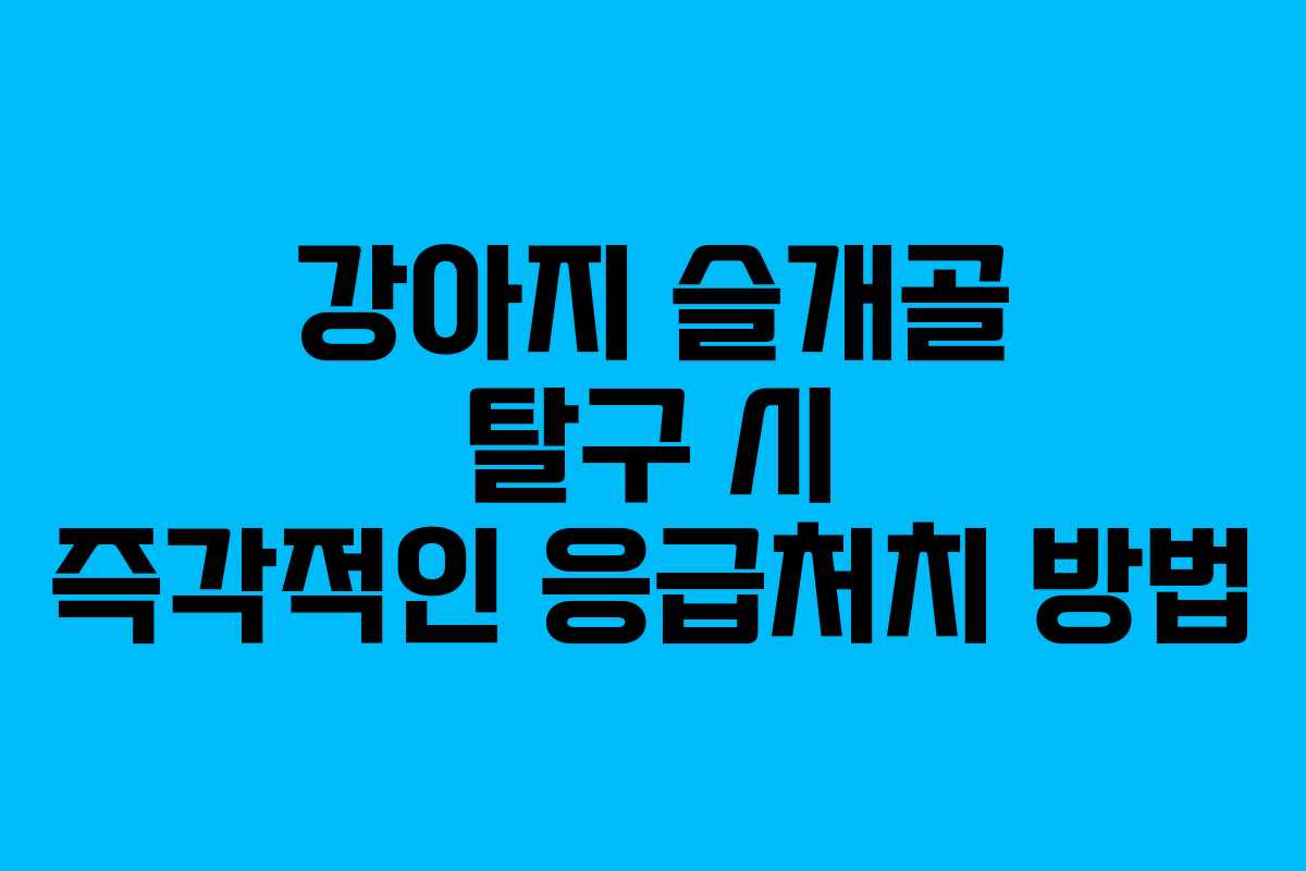 강아지 슬개골 탈구 시 즉각적인 응급처치 방법