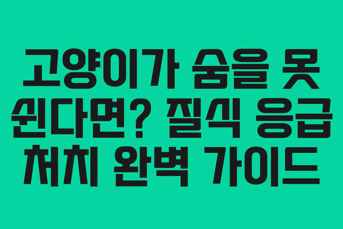 고양이가 숨을 못 쉰다면? 질식 응급 처치 완벽 가이드