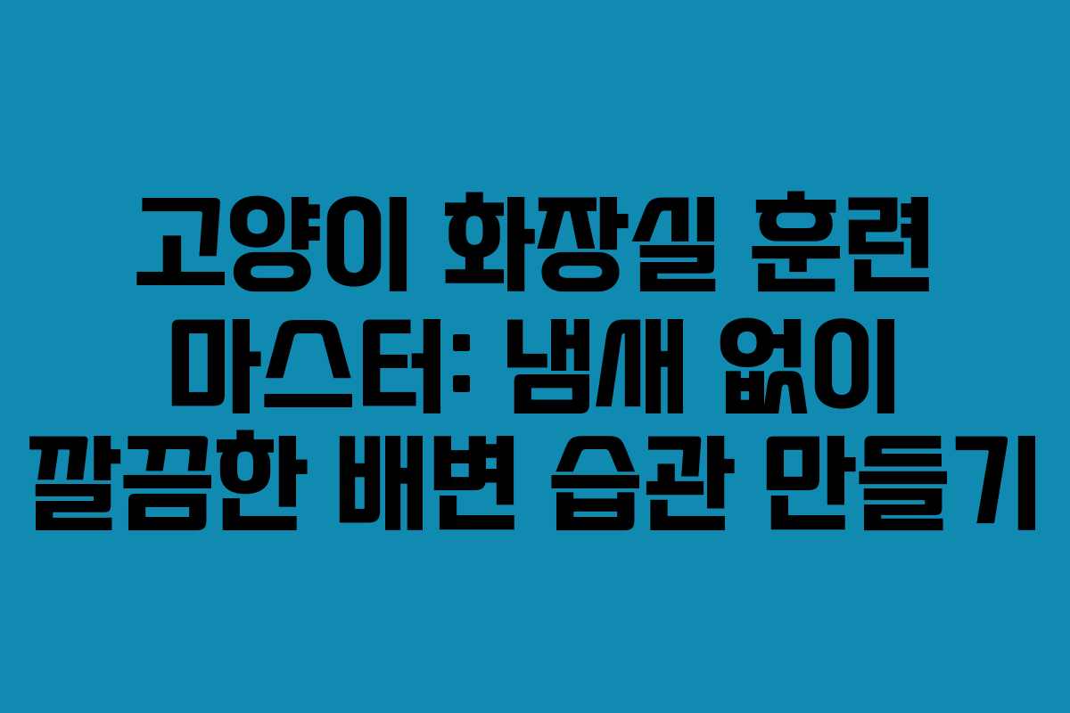 고양이 화장실 훈련 마스터: 냄새 없이 깔끔한 배변 습관 만들기