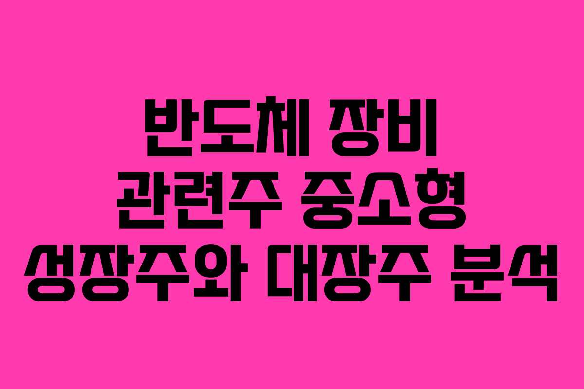 반도체 장비 관련주 중소형 성장주와 대장주 분석