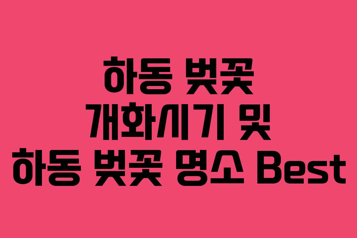 하동 벚꽃 개화시기 및 하동 벚꽃 명소 Best