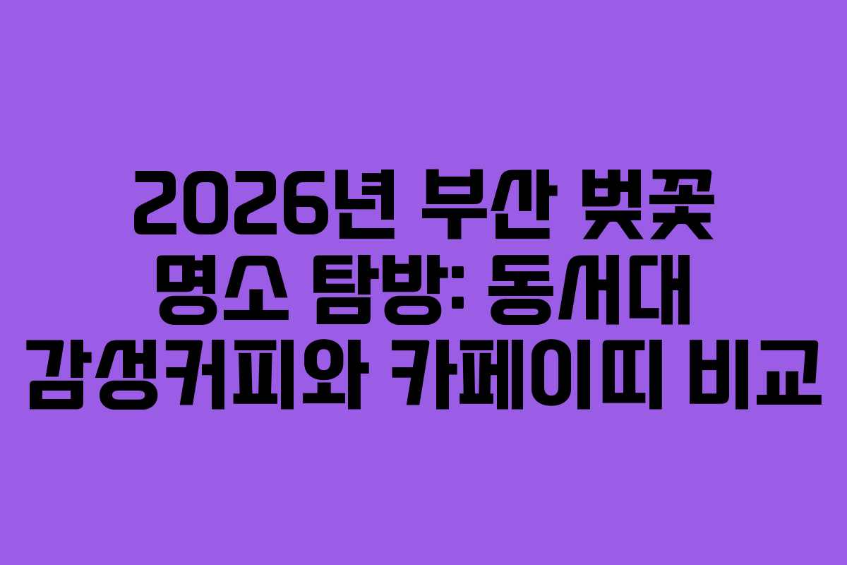 2026년 부산 벚꽃 명소 탐방: 동서대 감성커피와 카페이띠 비교