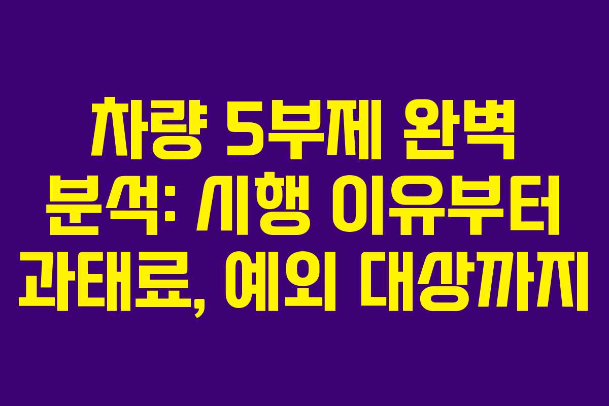 차량 5부제 완벽 분석: 시행 이유부터 과태료, 예외 대상까지