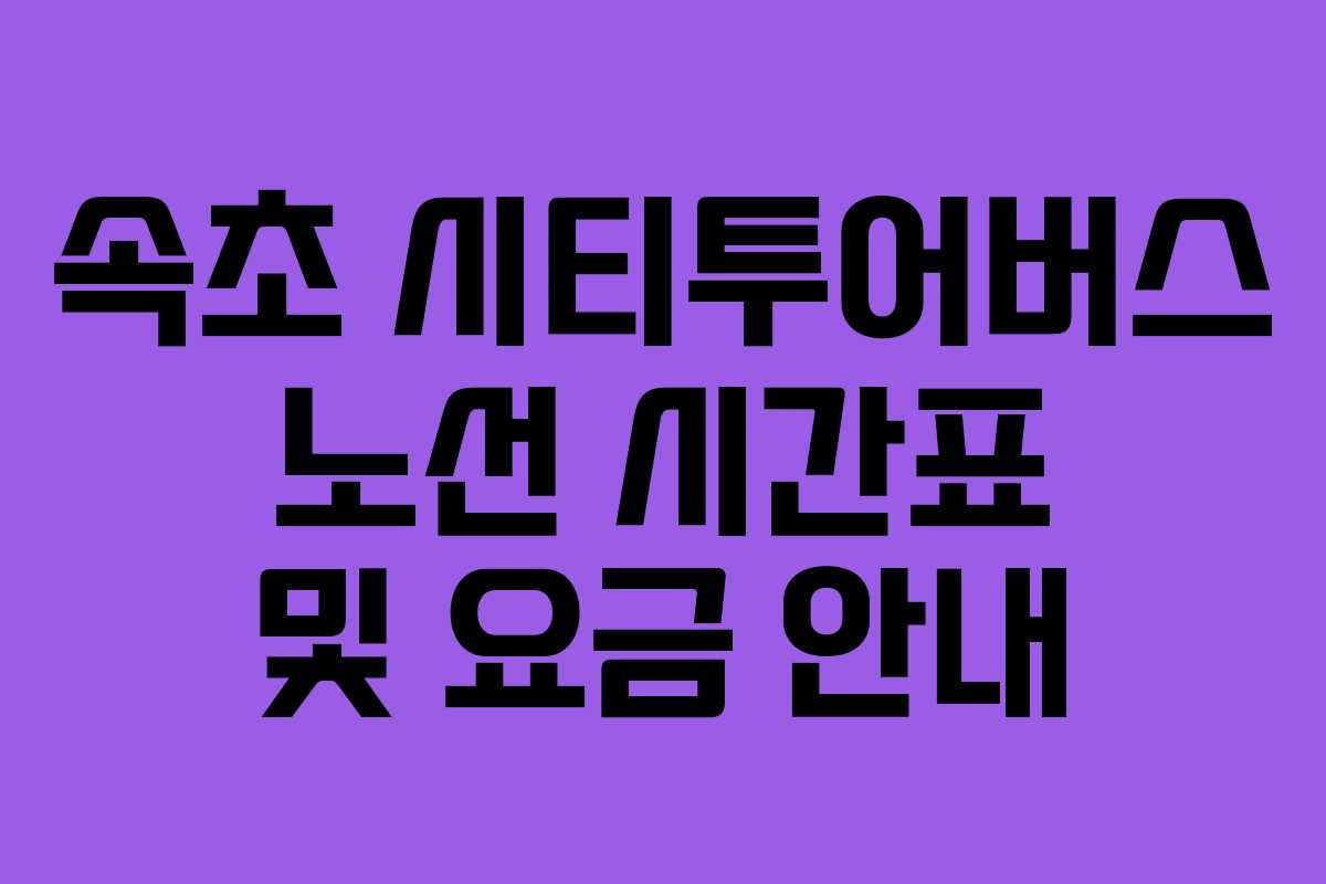 속초 시티투어버스 노선 시간표 및 요금 안내