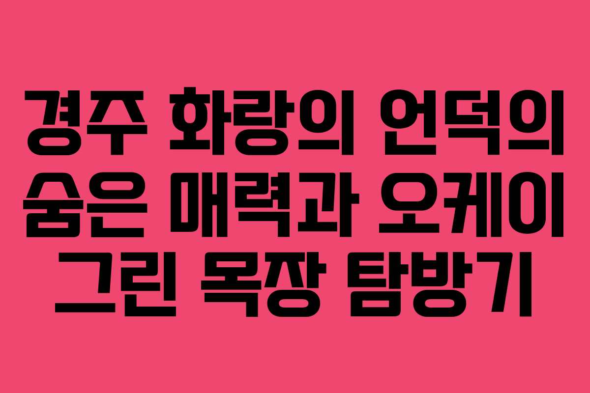 경주 화랑의 언덕의 숨은 매력과 오케이 그린 목장 탐방기