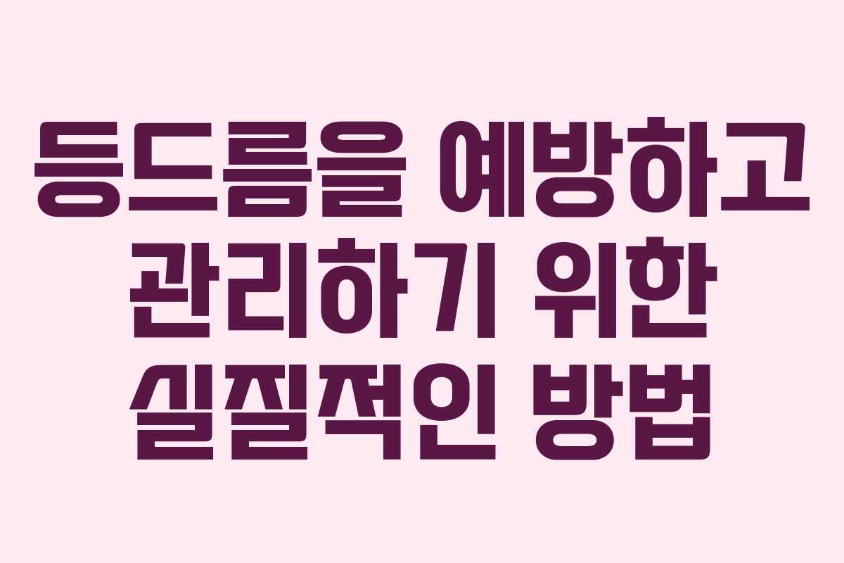 등드름을 예방하고 관리하기 위한 실질적인 방법