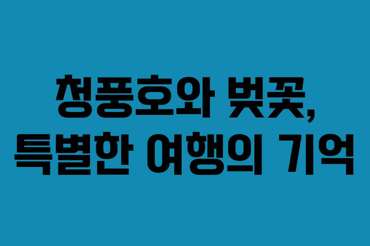 청풍호와 벚꽃, 특별한 여행의 기억