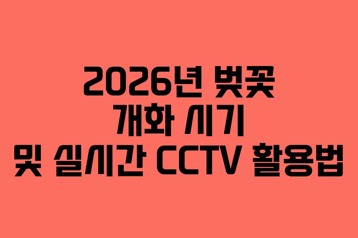 2026년 벚꽃 개화 시기 및 실시간 CCTV 활용법