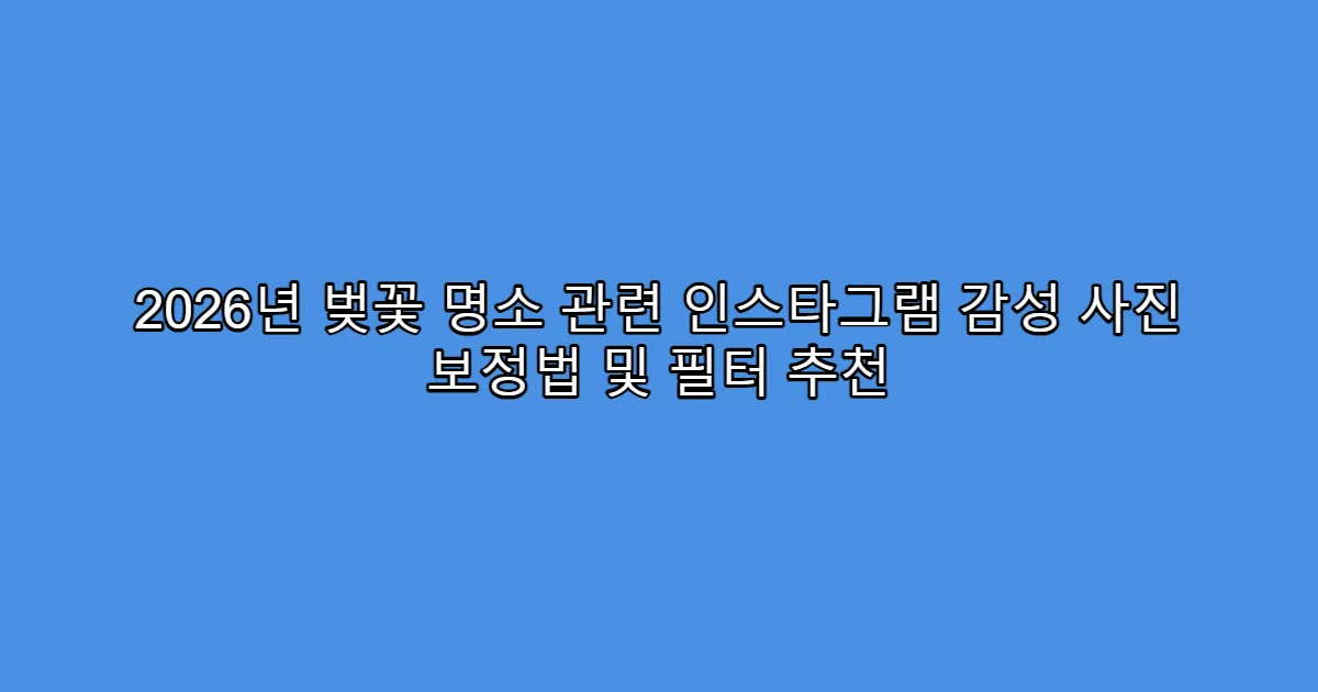 2026년 벚꽃 명소 관련 인스타그램 감성 사진 보정법 및 필터 추천