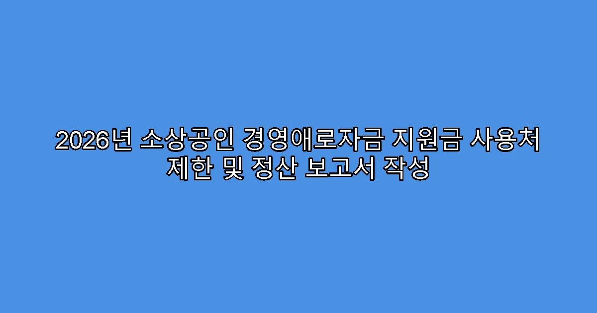 2026년 소상공인 경영애로자금 지원금 사용처 제한 및 정산 보고서 작성