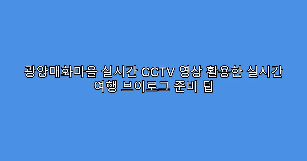 광양매화마을 실시간 CCTV 영상 활용한 실시간 여행 브이로그 준비 팁