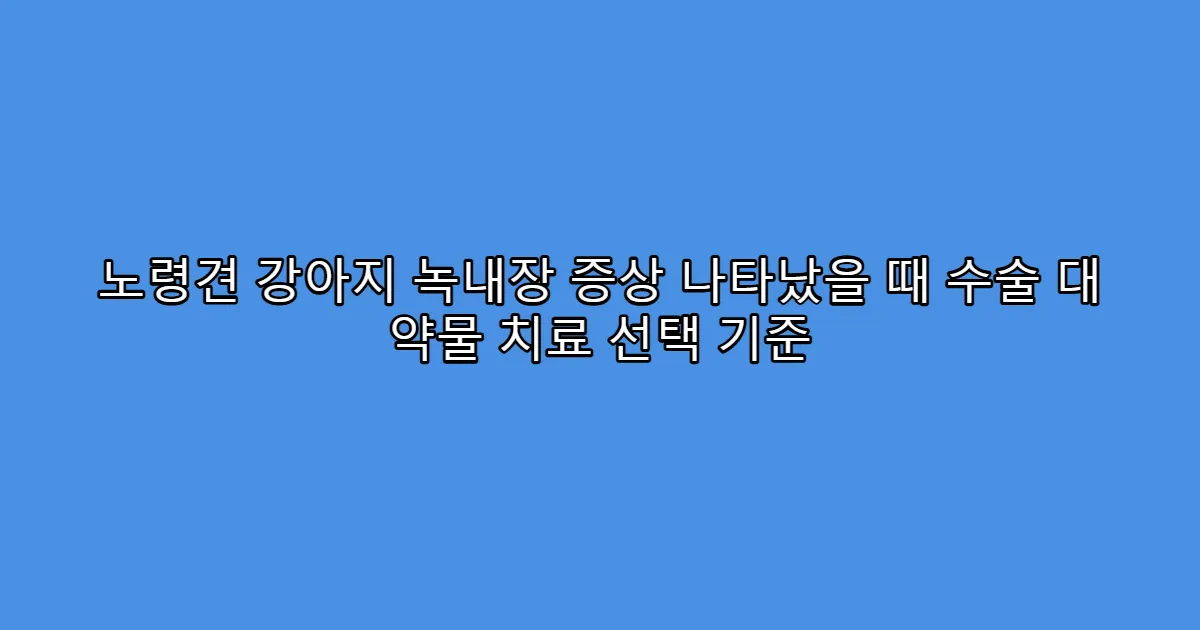 노령견 강아지 녹내장 증상 나타났을 때 수술 대 약물 치료 선택 기준