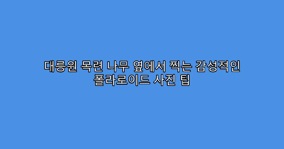 대릉원 목련 나무 옆에서 찍는 감성적인 폴라로이드 사진 팁