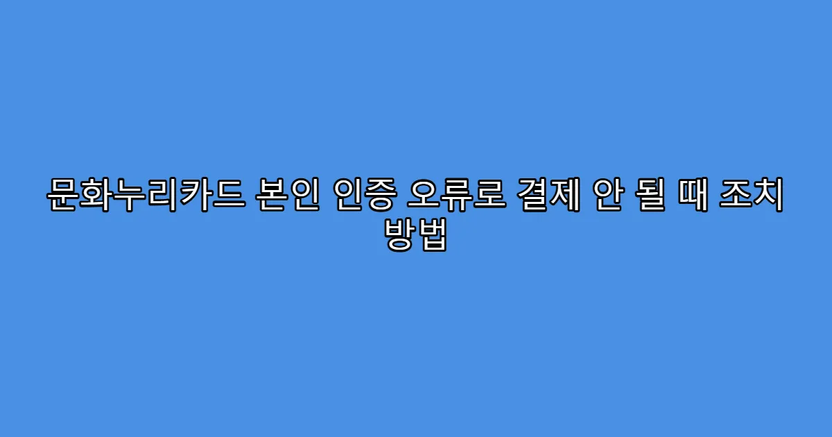 문화누리카드 본인 인증 오류로 결제 안 될 때 조치 방법