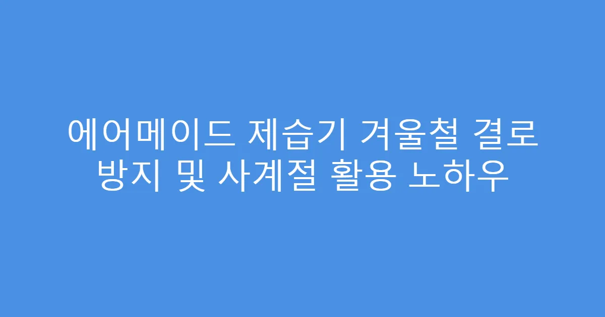 에어메이드 제습기 겨울철 결로 방지 및 사계절 활용 노하우