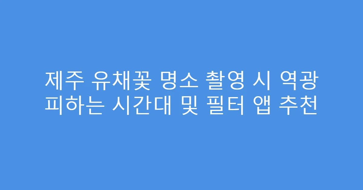 제주 유채꽃 명소 촬영 시 역광 피하는 시간대 및 필터 앱 추천