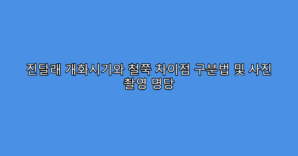 진달래 개화시기와 철쭉 차이점 구분법 및 사진 촬영 명당